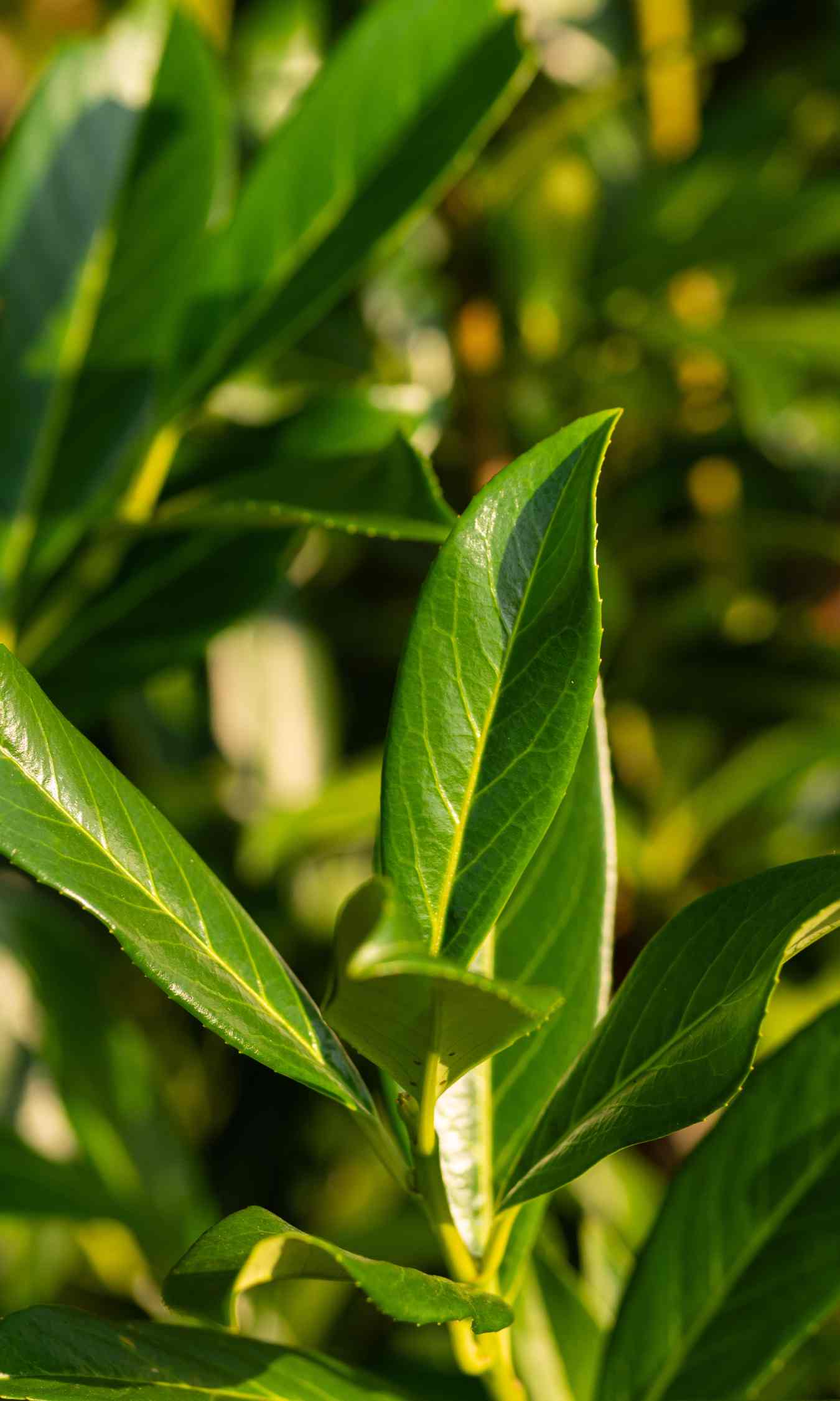 Maßgeschneiderte Beratung