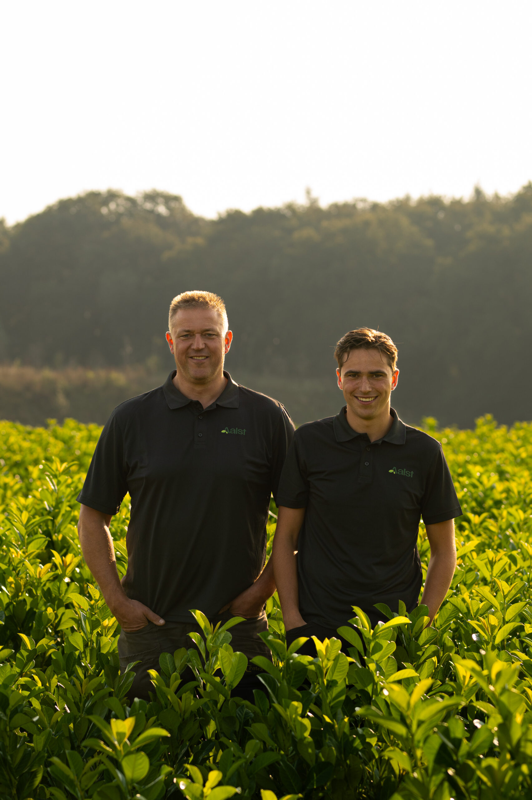 Marc en Bas van Aalst Tuinplanten tussen jonge laurierplanten in ochtendlicht